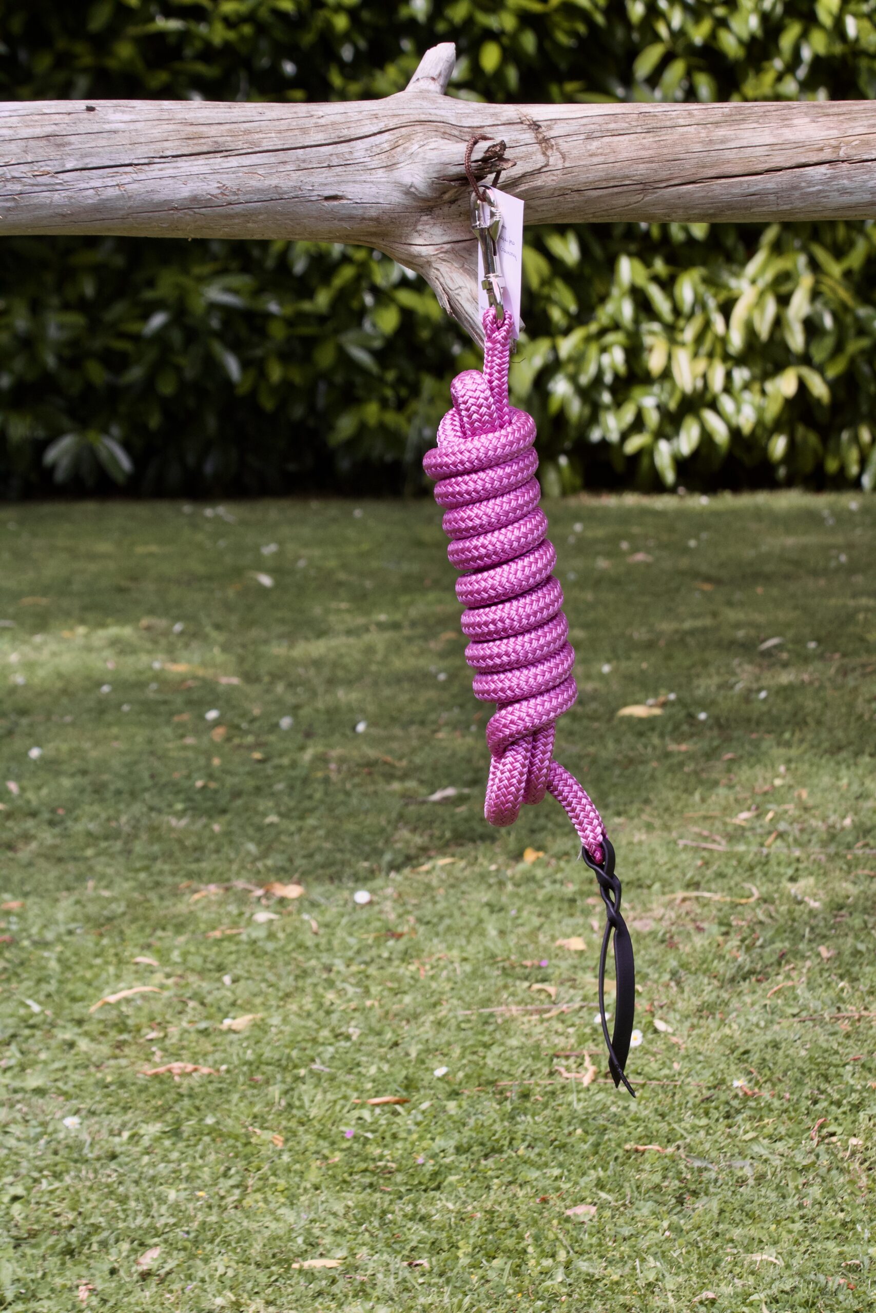 Longe Equi'pro – Image 5