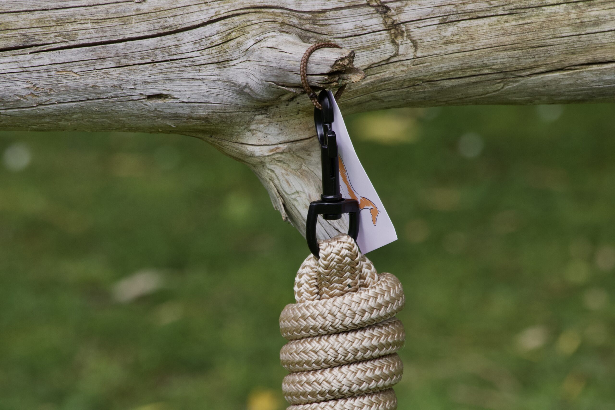 Longe Equi'pro – Image 2