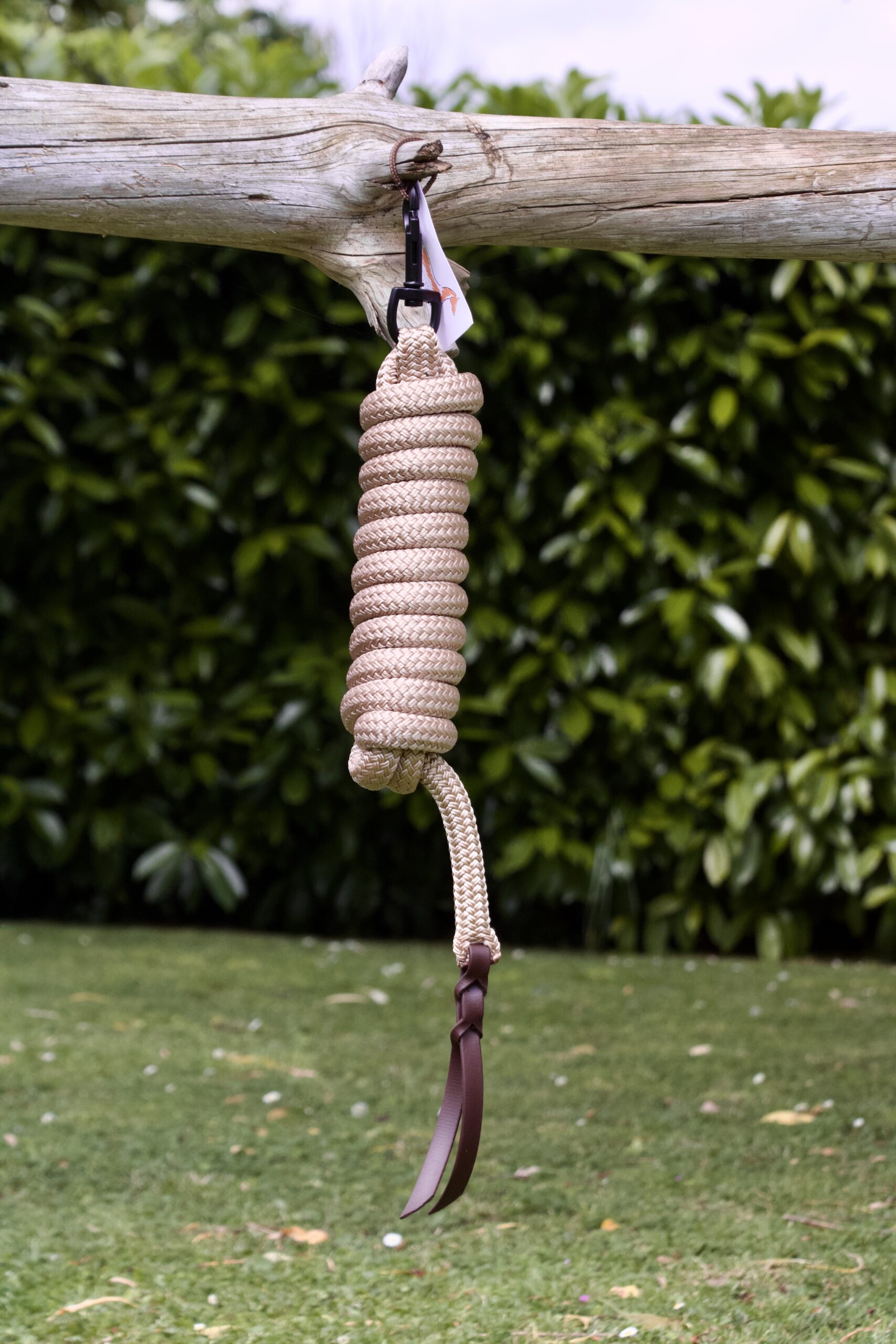 Longe Equi'pro – Image 4