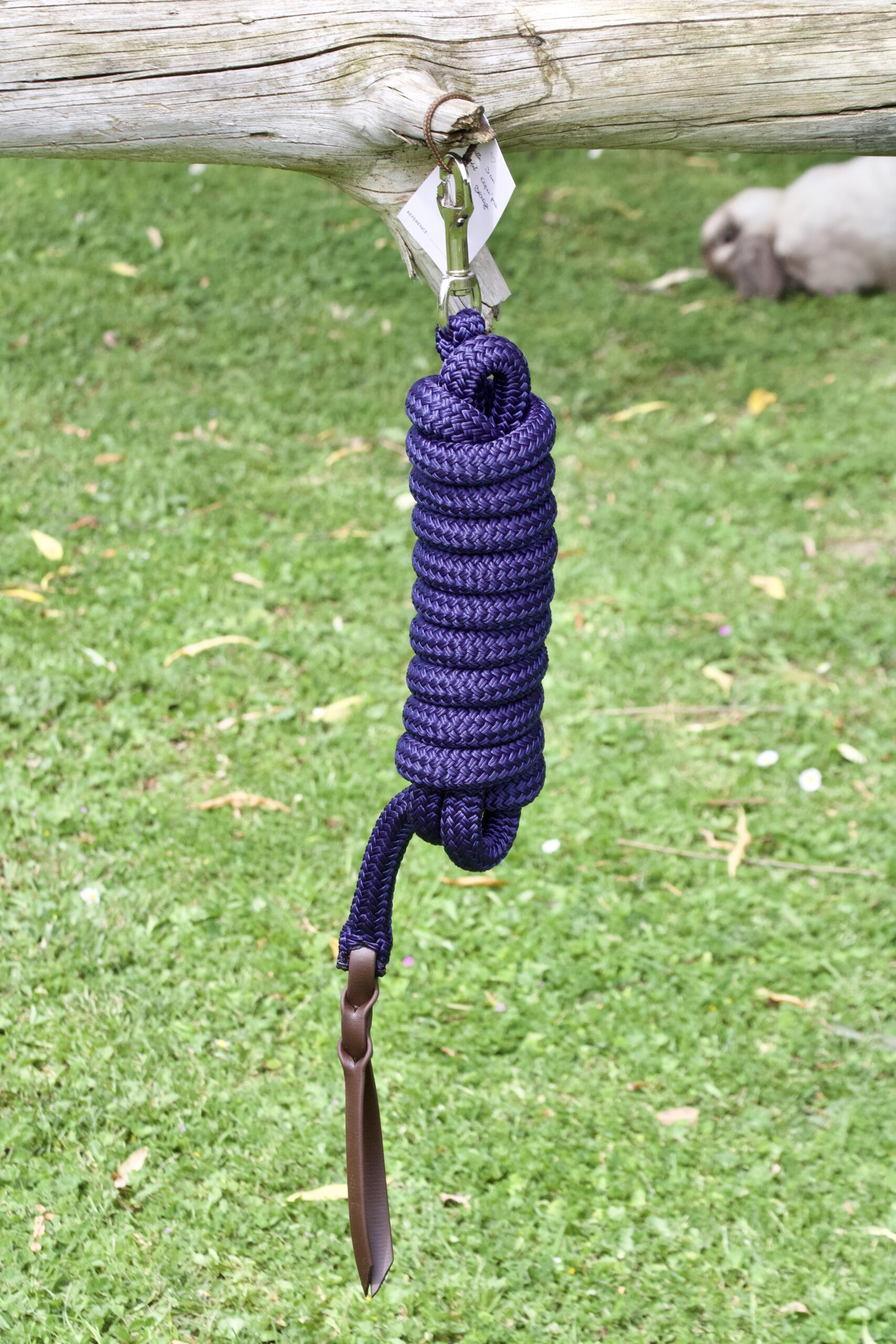 Longe Equi'pro – Image 3