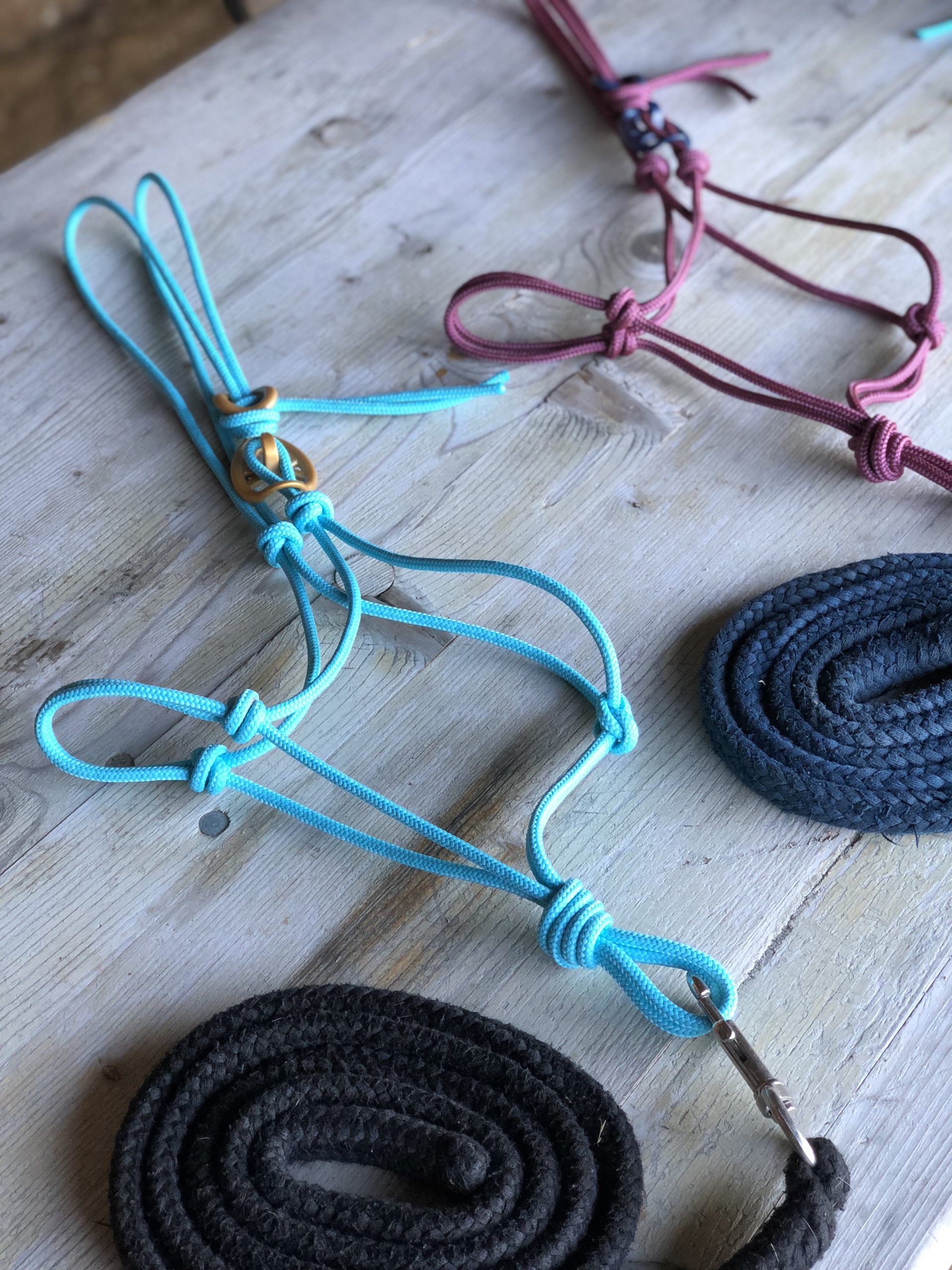 Licol Sencillo – Image 3