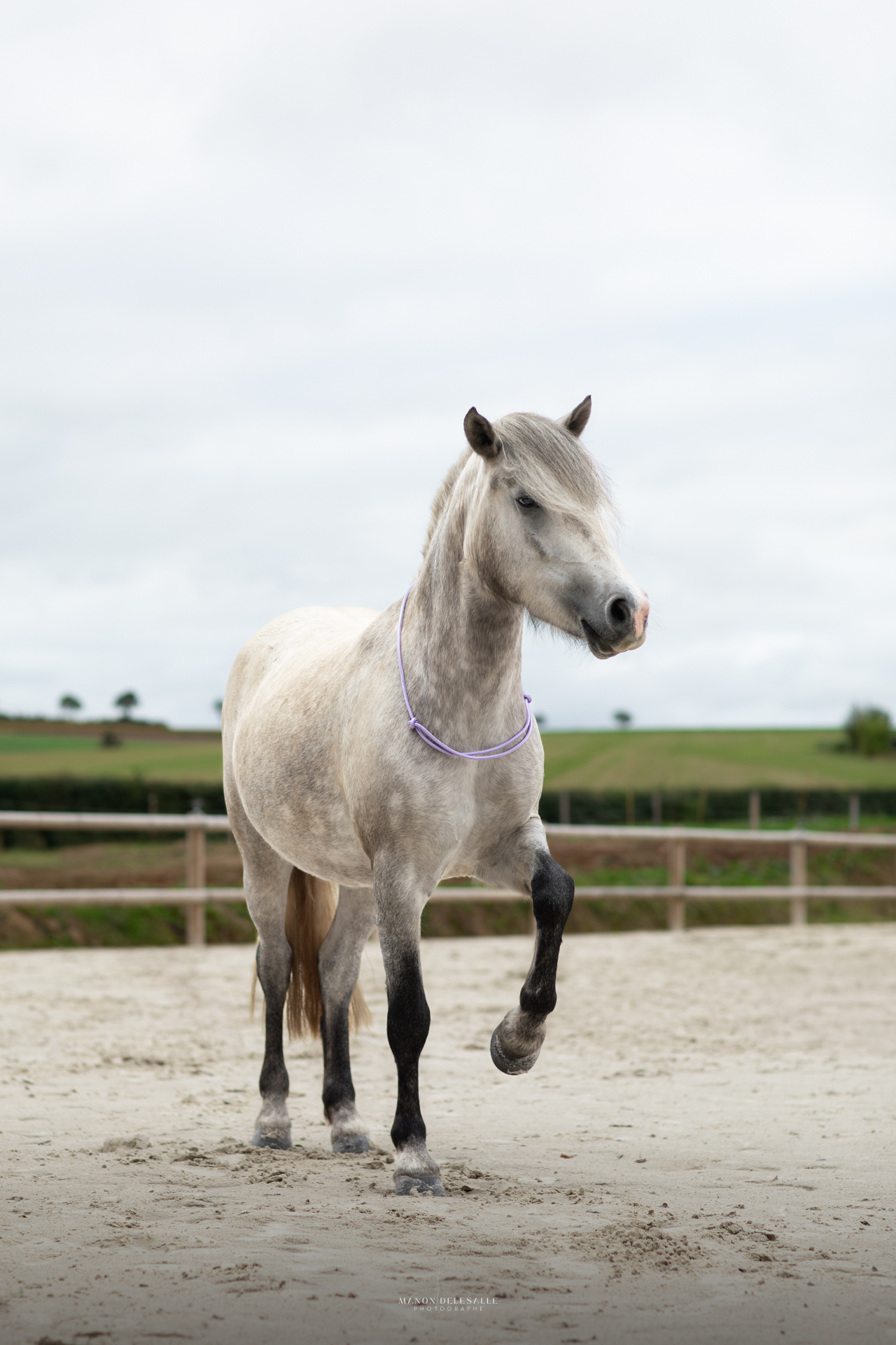 Cordelette sliding – Image 3