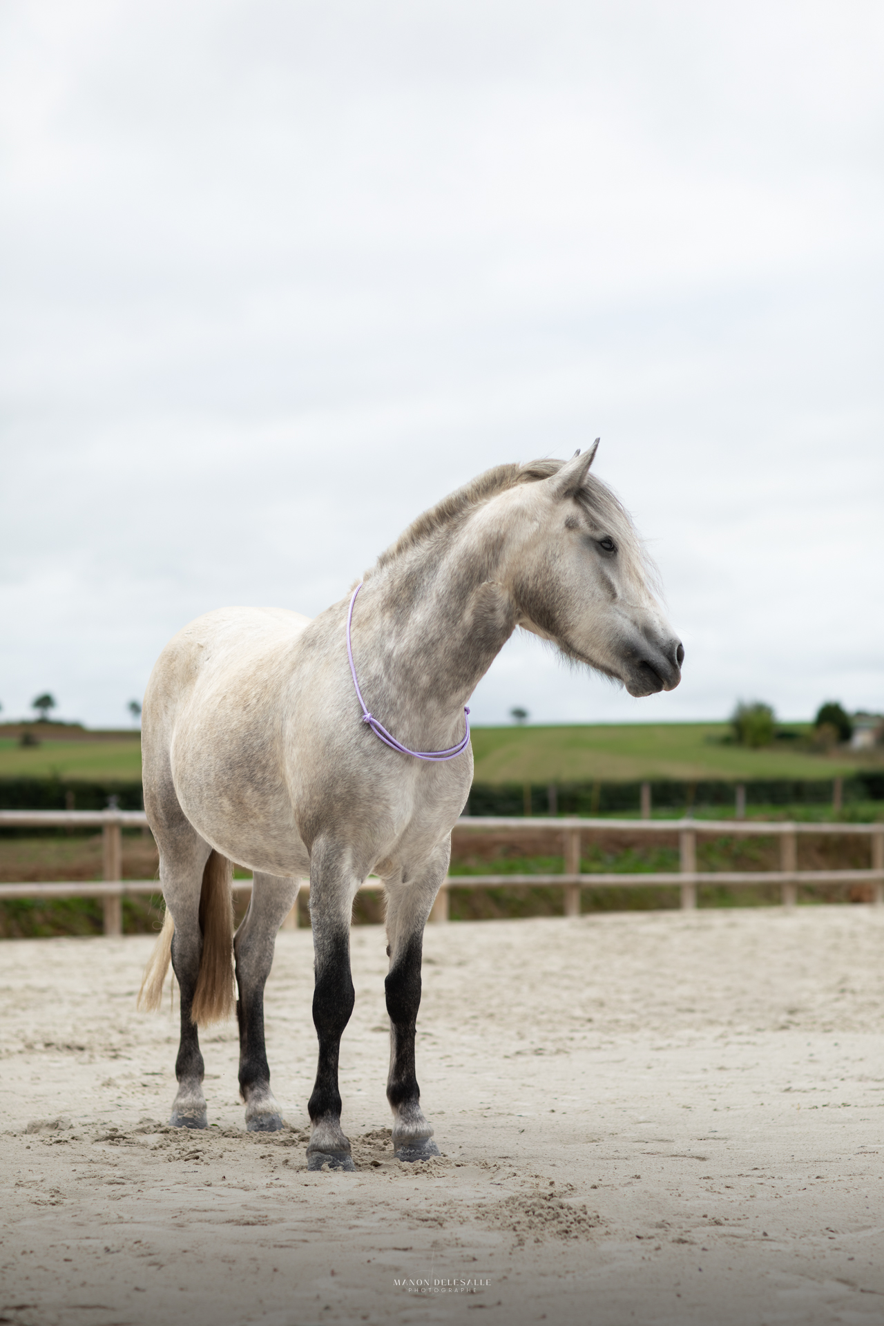 Cordelette sliding – Image 4