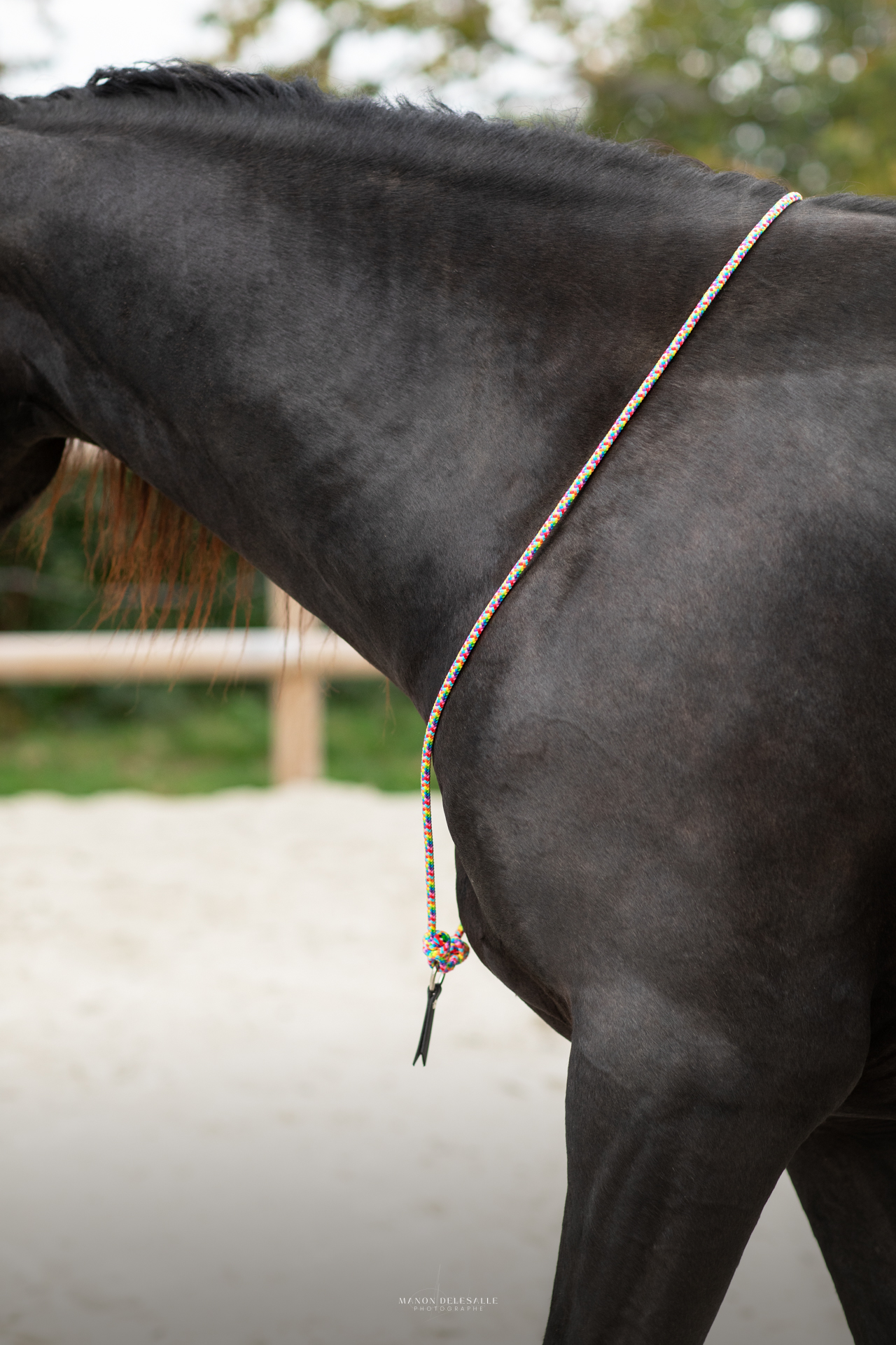 Cordelette Eol – Image 2