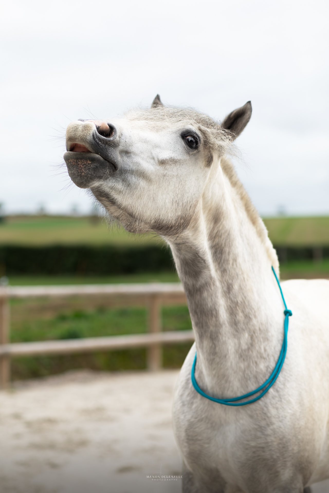 Cordelette sliding – Image 2