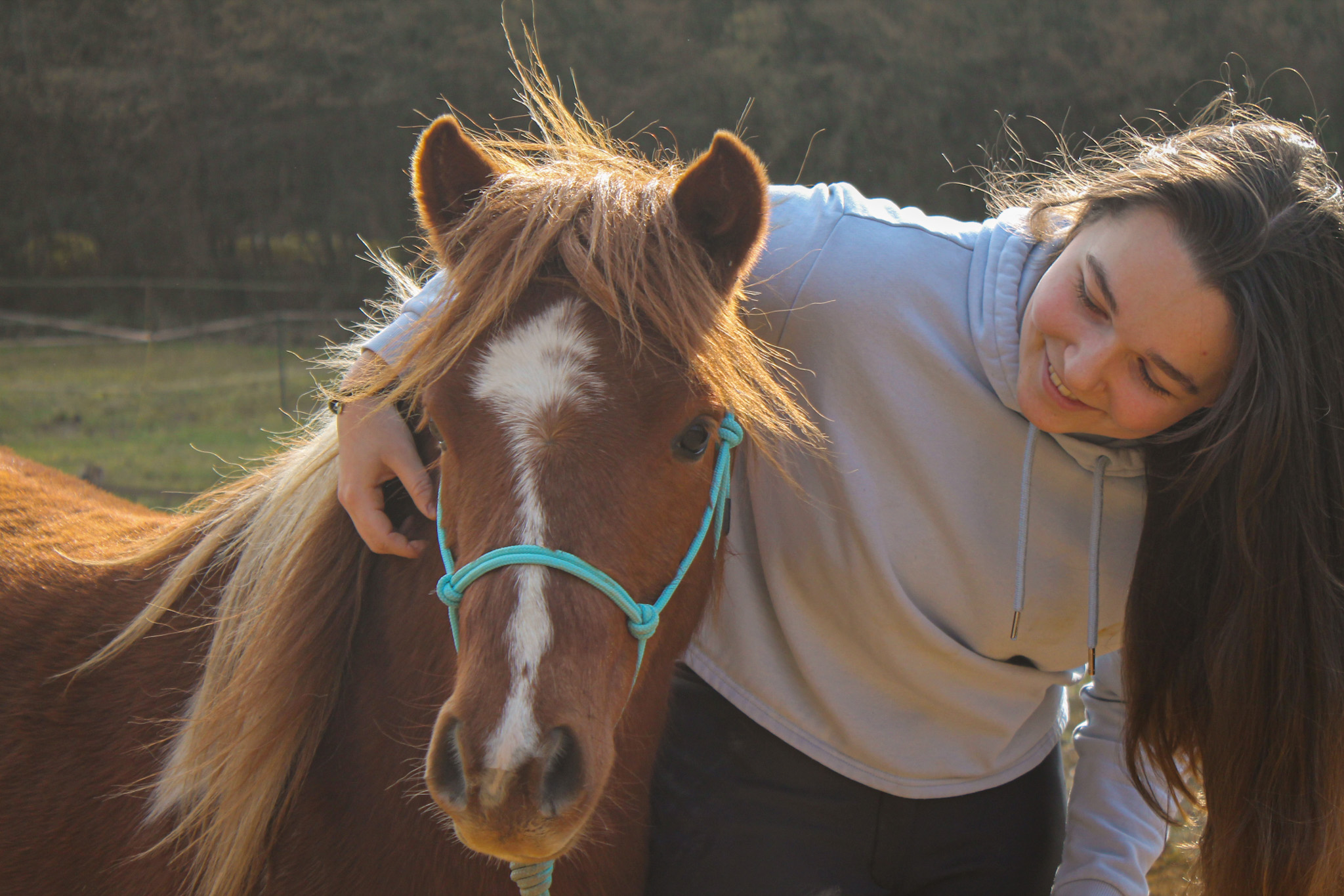 Licol Sencillo – Image 2