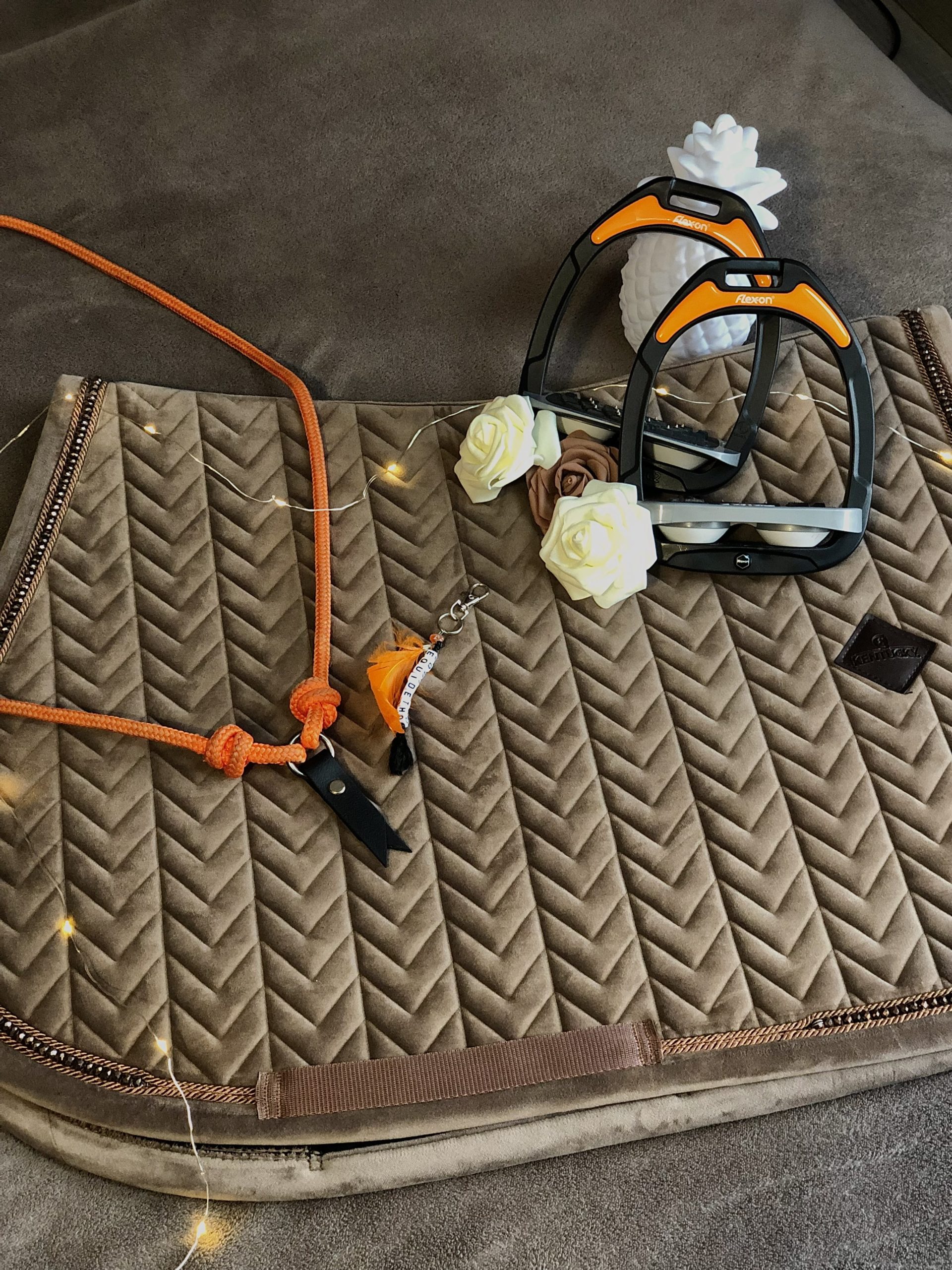 Cordelette Eol – Image 3