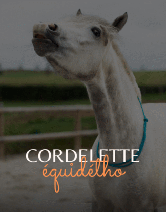 Cordelette