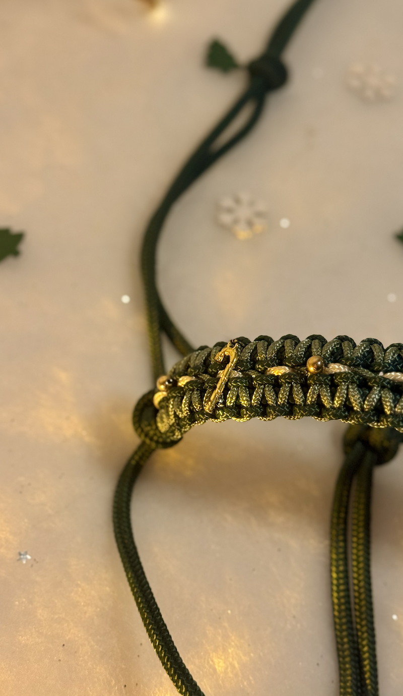 Mon beau sapin – Image 2