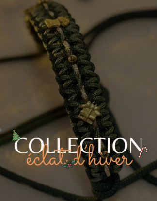 Collection éclat d'Hiver